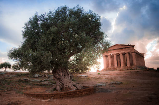 istock Valley of the temples in Agrigento - Sicily 961929408