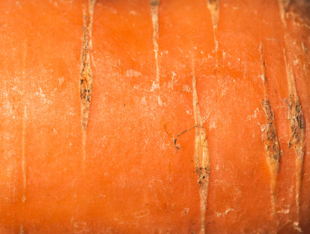 фоновое изображение кожуры моркови - carotene healthy eating macro close up стоковые фото и изображения