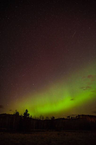 istock Aurora or NOrthern Lights above a forest in Alberta 961930866