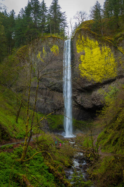 istock Latourell Falls in the Columbia River Gorge, Oregon 961931662