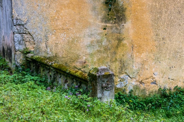 istock Old house abandoned and covered with plants 961936198