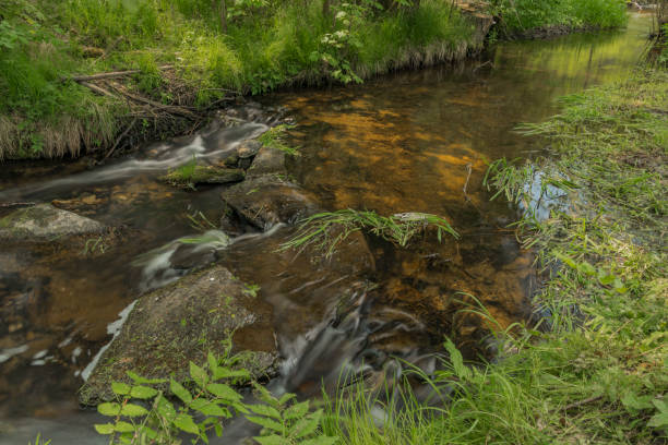 istock Bily Halstrov creek in west Bohemia 961939624