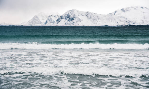 istock Landscape View in Lofoten, Norway 961942126