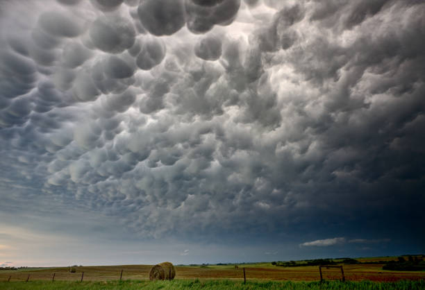 tormenta mammatus nubes canadá - mammatus cloud fotografías e imágenes de stock