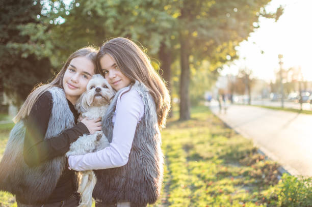 istock New fluffy family member 961949554