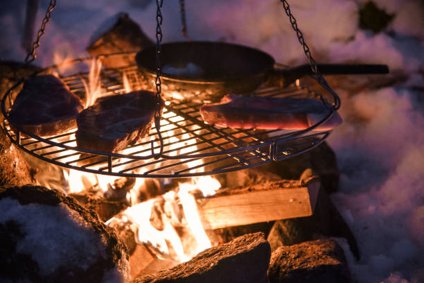 Campfire Cooking in Lofoten, Norway stock photo