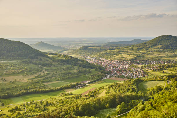 schwäbische alb - panoramic summer tree europe ストックフォトと画像