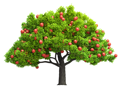 red apple tree isolated 3D illustration