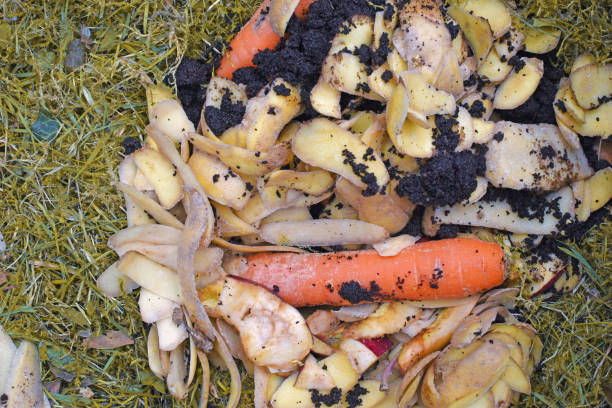 istock View into a bio container  with various organic wastes such as potato peels, carrots, apple and grass for recycling 961955394