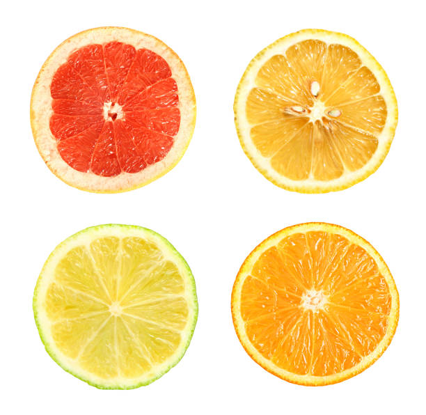 istock Set of citrus fruit. 96195540
