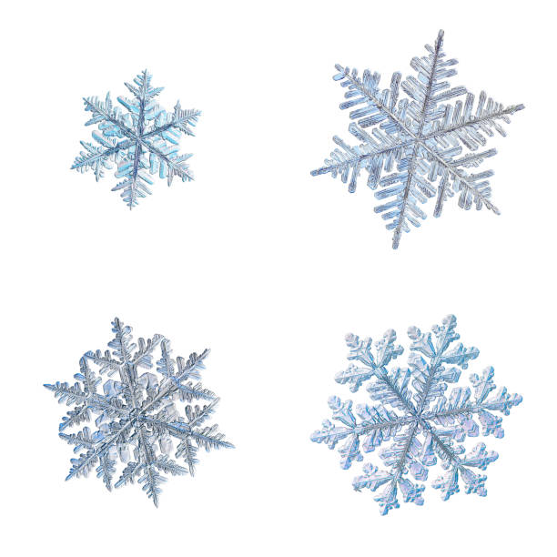 istock Four snowflakes isolated on white background 961957096