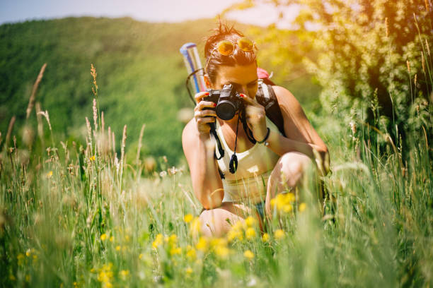 Women Photographer In The Wild Flowers Women Photographer In The Wild Flowers anza borrego desert state park photos stock pictures, royalty-free photos & images