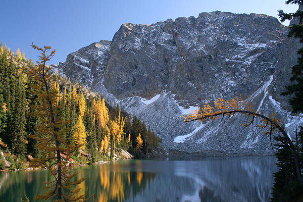 istock Mountain Lake and Autumnal Larches 96196256