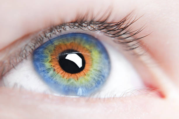 istock Eye of the person 96196511