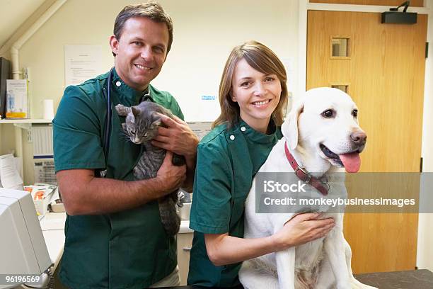 Veterinaria Personale Con Cane E Gatto In Chirurgia - Fotografie stock e altre immagini di Cane