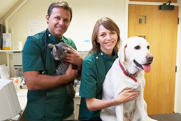 istock Vetinary Staff With Dog And Cat In Surgery 96196569