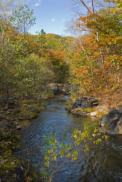 istock Woodsy river at autumn 96196695