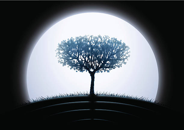 Full moon with tree on the hill in the shadows vector art illustration