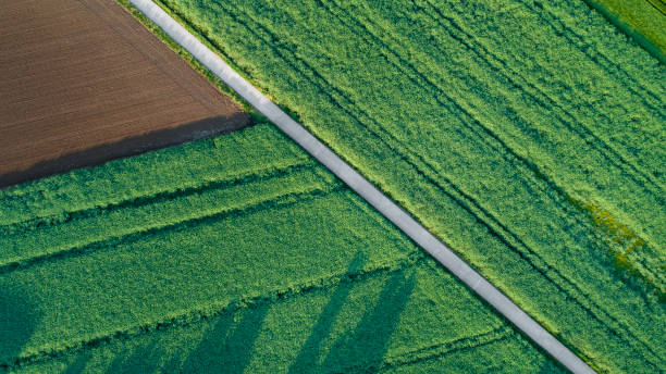 istock Abstract agricultural area in spring 961970718