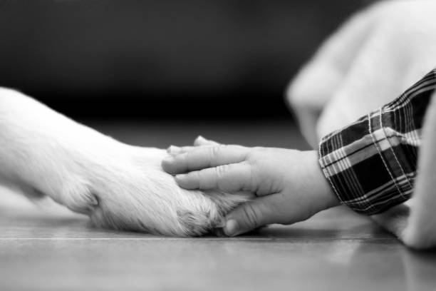 Dogs and Kids Growing Up Together