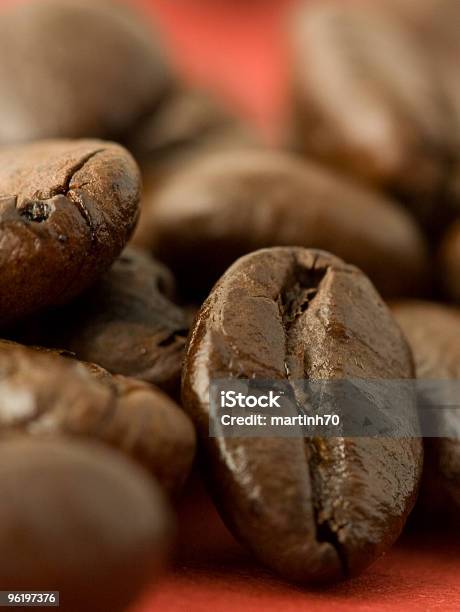 コーヒー豆 - コーヒー栽培のストックフォトや画像を多数ご用意 - コーヒー栽培, ジャマイカ, ニカラグア