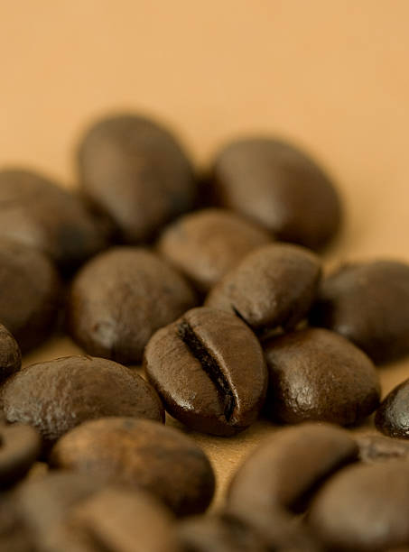 Grains de café - Photo