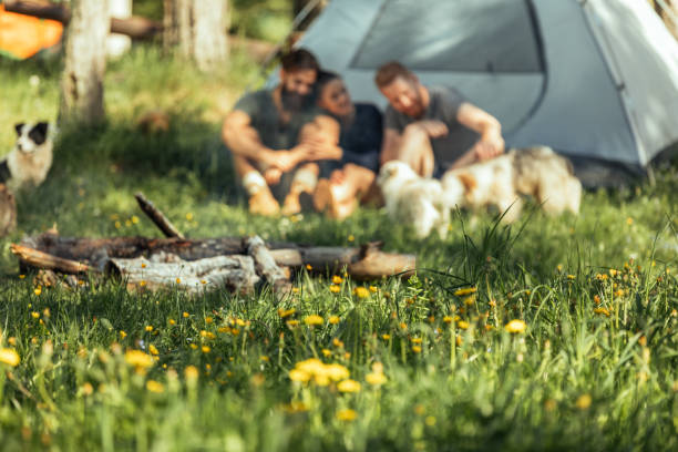 istock Beautiful day outdoors 961978500
