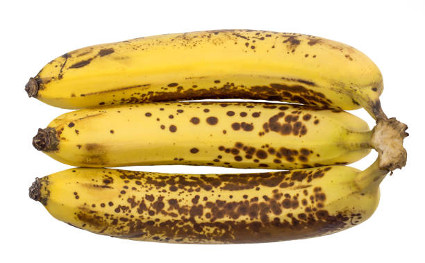 잘 익은 노란 바나나 과일, 클리핑 경로와 흰색 배경에 어두운 반점과 익은 바나나의 무리. - banana rotting ripe above 뉴스 사진 이미지