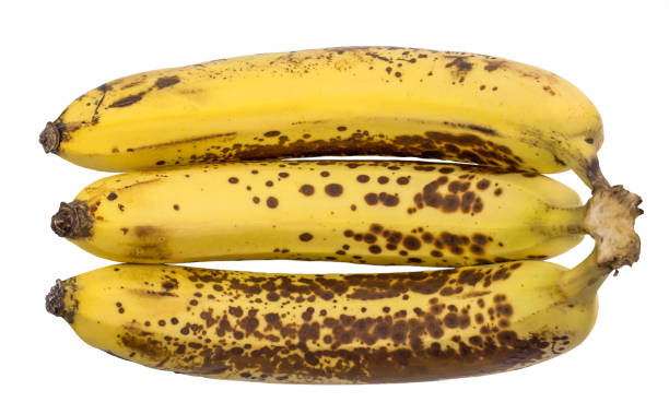 dojrzałe żółte banany owoce, pęczek dojrzałych bananów z ciemnymi plamami na białym tle ze ścieżką przycinania. - banana rotting ripe above zdjęcia i obrazy z banku zdjęć