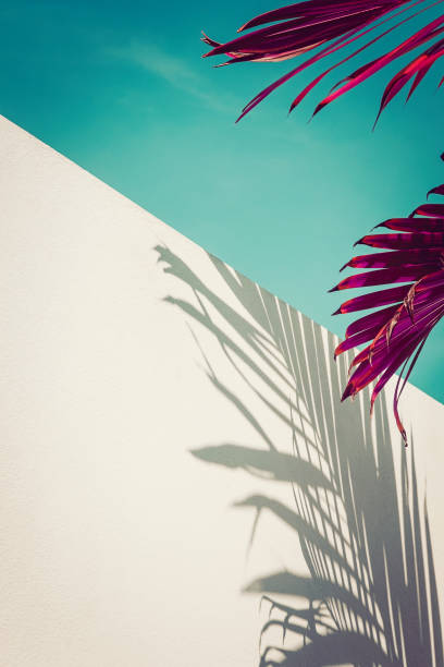 istock Purple palm leaves over vintage sky, minimalism 961988722