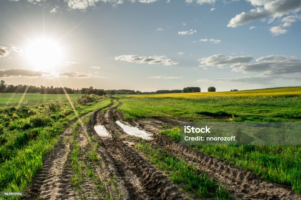 la route rurale avec une flaque d’eau traverse le champ, herbe verte et jaune colza printemps temps du coucher du soleil - Photo de Chemin de terre libre de droits