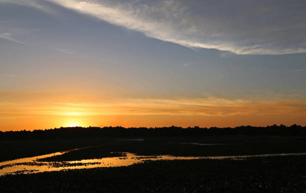 istock Sunset on Reelfoot Lake 961998234
