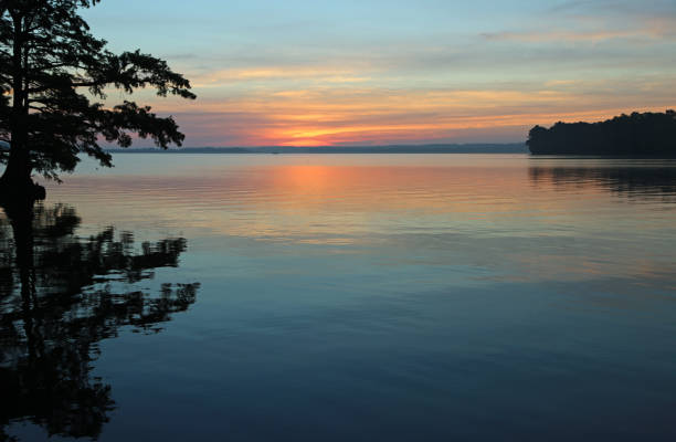 sun is rising on reelfoot lake - reelfoot lake imagens e fotografias de stock