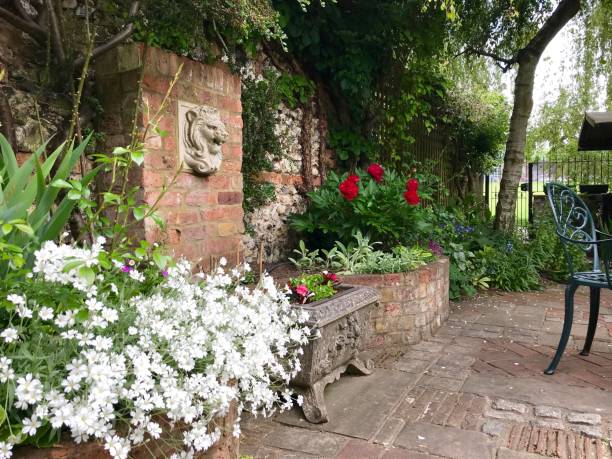 istock An English cottage garden 961999508