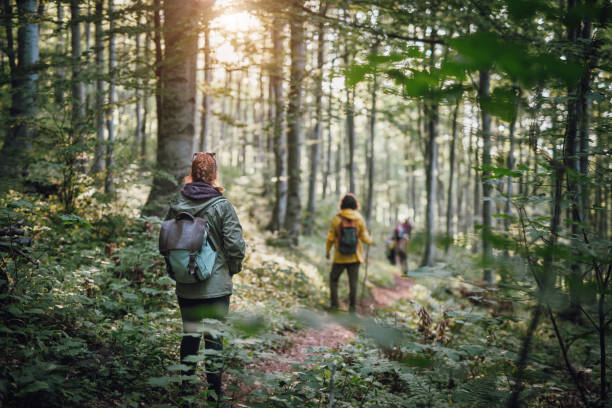 Young couple on hiking in the forest Group of young friends hikers with backpacks in the forest, walking in nature girl power photos stock pictures, royalty-free photos & images