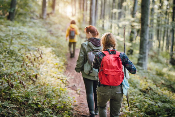 istock Friends hiking in the forest 962003456