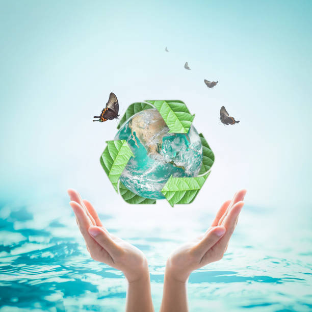 istock Waste water recycle, eco friendly and saving biological sustainability concept: Elements of this image furnished by NASA 962006020