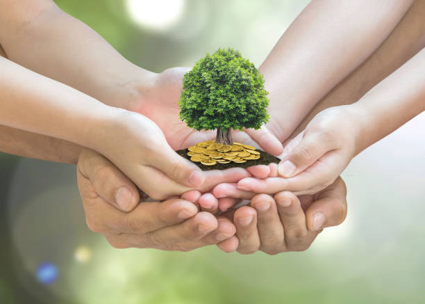 Retirement planning and family investment concept with wealthy tree growing on parent -
children's hands Retirement planning and family investment concept with wealthy tree growing on parent -
children's hands prosperity stock pictures, royalty-free photos & images