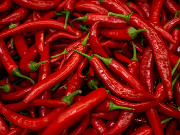 istock Red hot chilli peppers pattern texture background. Close up. Landscape. A backdrop ofRed hot chilli peppers. Street vegetable market. Group of Red hot chilli peppers 962012636