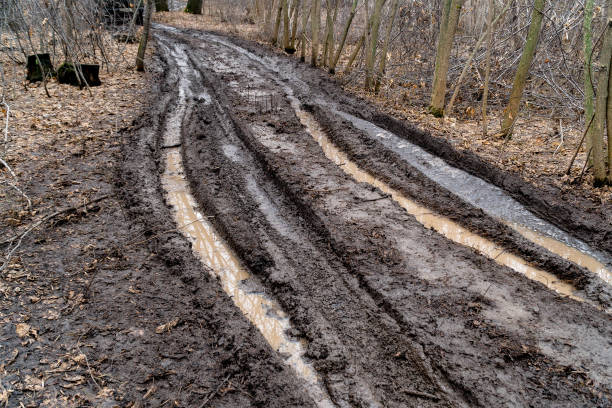 森の中の汚れた秋道路 - off road vehicle 4x4 snow driving ストックフォトと画像