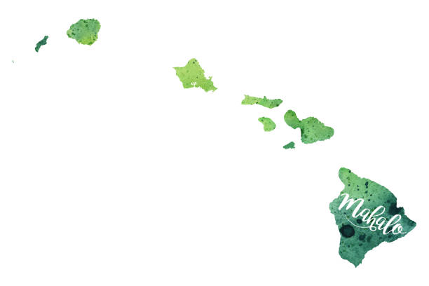 10+ Mahalo Stock Illustrations, Royalty-Free Vector Graphics