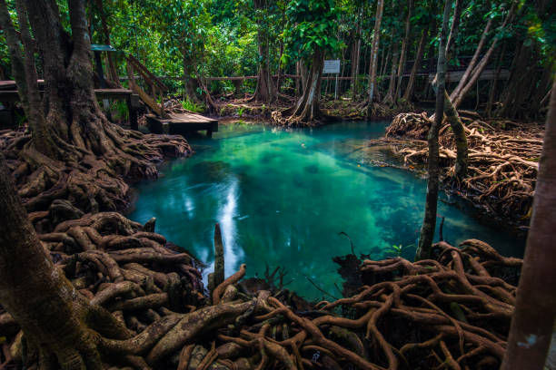 istock Tapom in Krabi Thailand 962023866