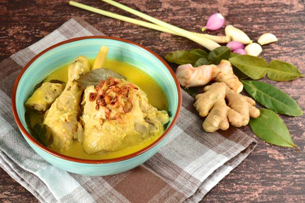 Chicken owe Chicken opor. Indonesian chicken curry central java province stock pictures, royalty-free photos & images