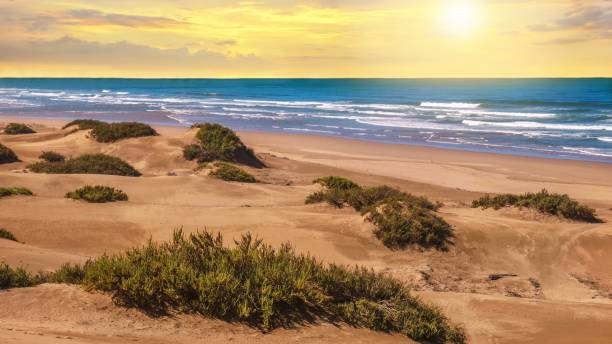 Sunset landscape in Agadir, Morocco, where desert sand turns into a beach at the Atlantic Ocean. A sandy beach with round sand dunes and grassy patches. Blue ocean waves washing ashore with a golden sunset in the sky. sunset agadir marocco stock pictures, royalty-free photos & images