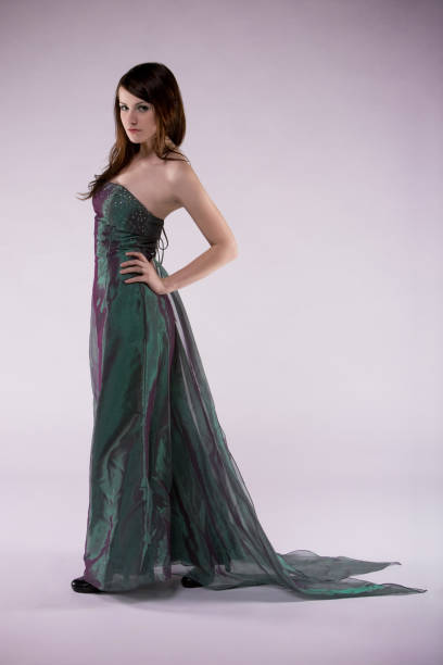 istock Beauty in a Ball Gown 96203458
