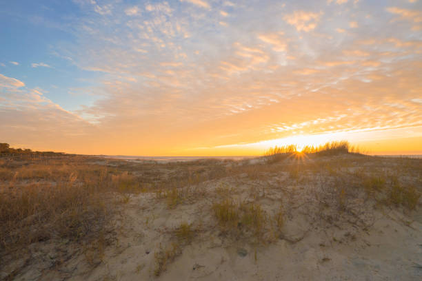 Charleston Golden Hour Sunrise at Kiawah Island, SC kiawah island stock pictures, royalty-free photos & images