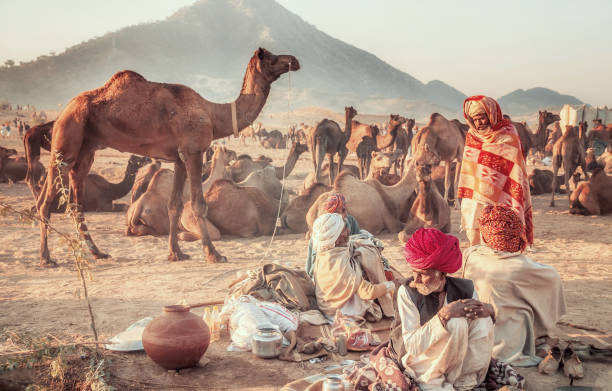 grupa mężczyzn wielbłądów handlowców sobie tradycyjne ubrania i turbany w obozie na świeżym powietrzu we wczesnych godzinach porannych na dorocznym pushkar camel fair w radżastanie, indie. - camel india animal desert zdjęcia i obrazy z banku zdjęć