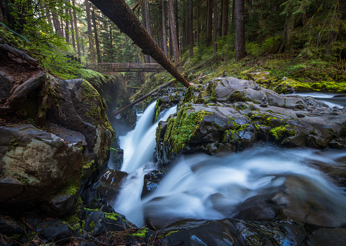 Waterfall, Washington State, Olympic Peninsula, Sol Duc River, Temperate Rainforest