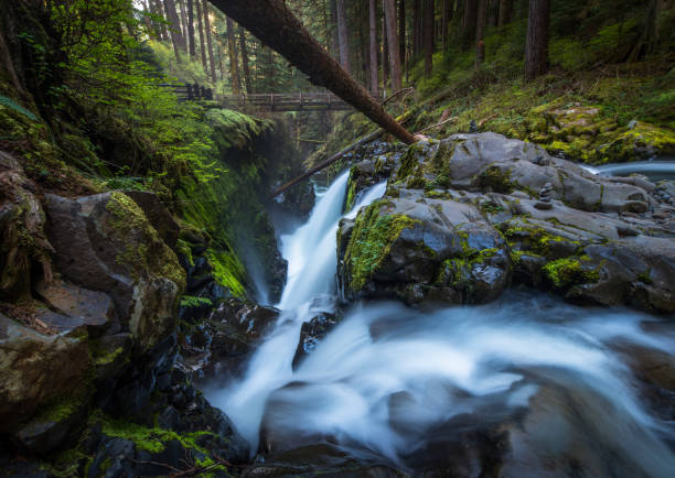 istock Sol Duc Falls, Olympic National Park 962037424