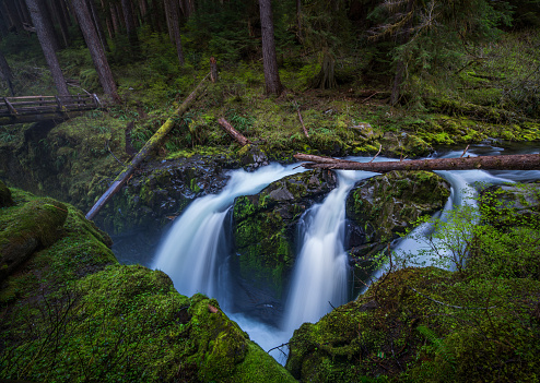 Waterfall, Washington State, Olympic Peninsula, Sol Duc River, Temperate Rainforest